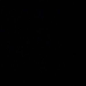 Meet your Posher, Mecca